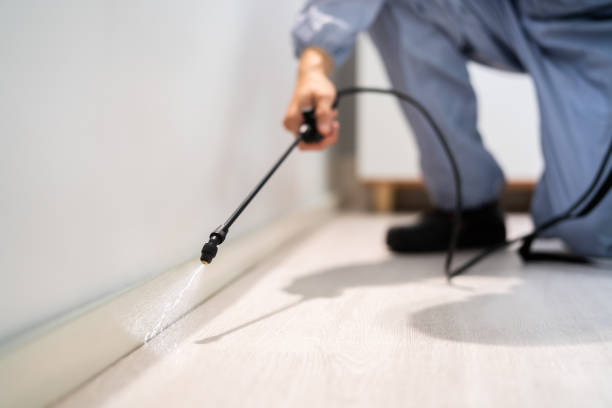 Licensed Fumigation Services service in Terrell Hills, TX - Nex Pest Control