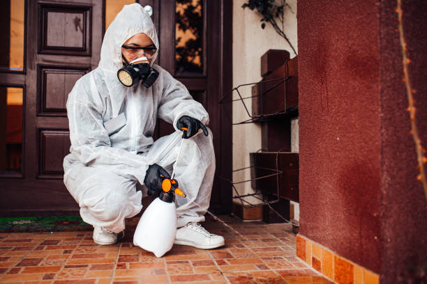 Reliable Fumigation Services contractor in Terrell Hills, TX by Nex Pest Control