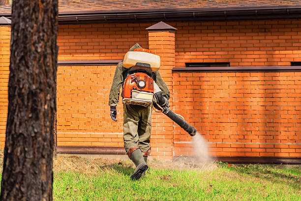 Trusted Cockroach Control service in Terrell Hills, TX - Nex Pest Control